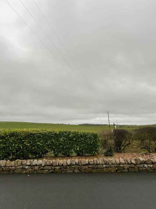 Daffodil Lodge Cockermouth Eksteriør bilde